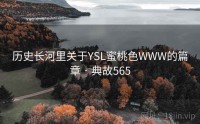 历史长河里关于YSL蜜桃色WWW的篇章 · 典故565
