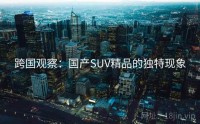 跨国观察：国产SUV精品的独特现象